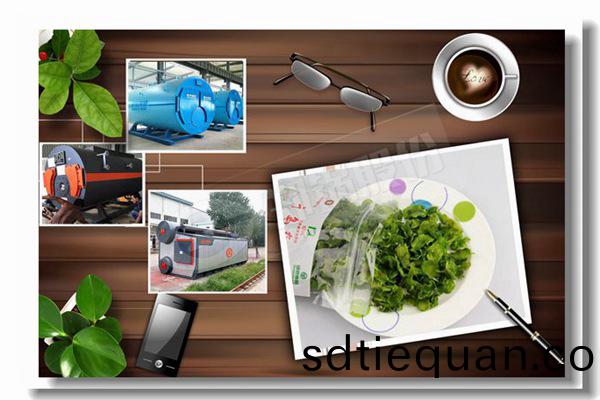 11噸天然(ran)氣(qi)蒸(zheng)汽鍋(guo)鑪價(jia)格(ge)