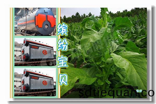 6噸煤(mei)臥式(shi)蒸(zheng)汽(qi)鍋(guo)鑪(lu)