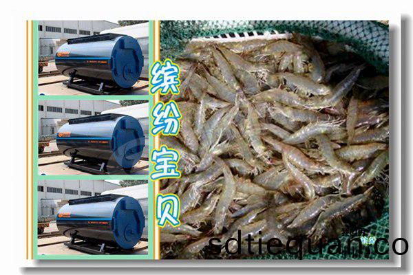 8噸燃(ran)氣(qi)蒸汽鍋鑪工程冷(leng)凝(ning)鍋(guo)鑪