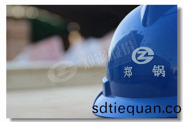 DZG係(xi)列固(gu)定鑪排多燃料鍋鑪