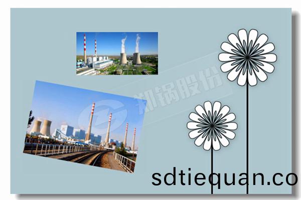 2t sss冷(leng)凝燃氣(qi)鍋(guo)鑪項目(mu)